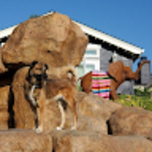 Meet your Posher, Jinn